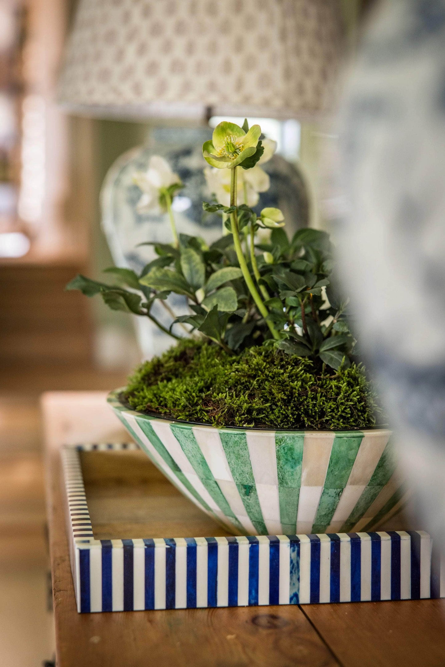 Large Bone Inlay Bowl - Green & White - Striped