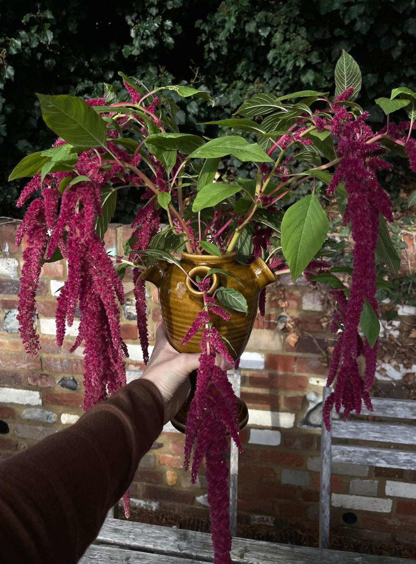 Stoneware Tulipiere - Honey Glaze