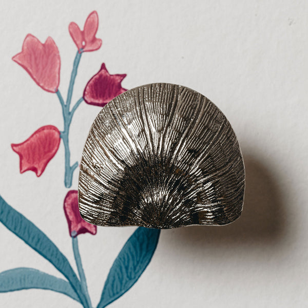 Cove Shell Knob, Lacquered Brass