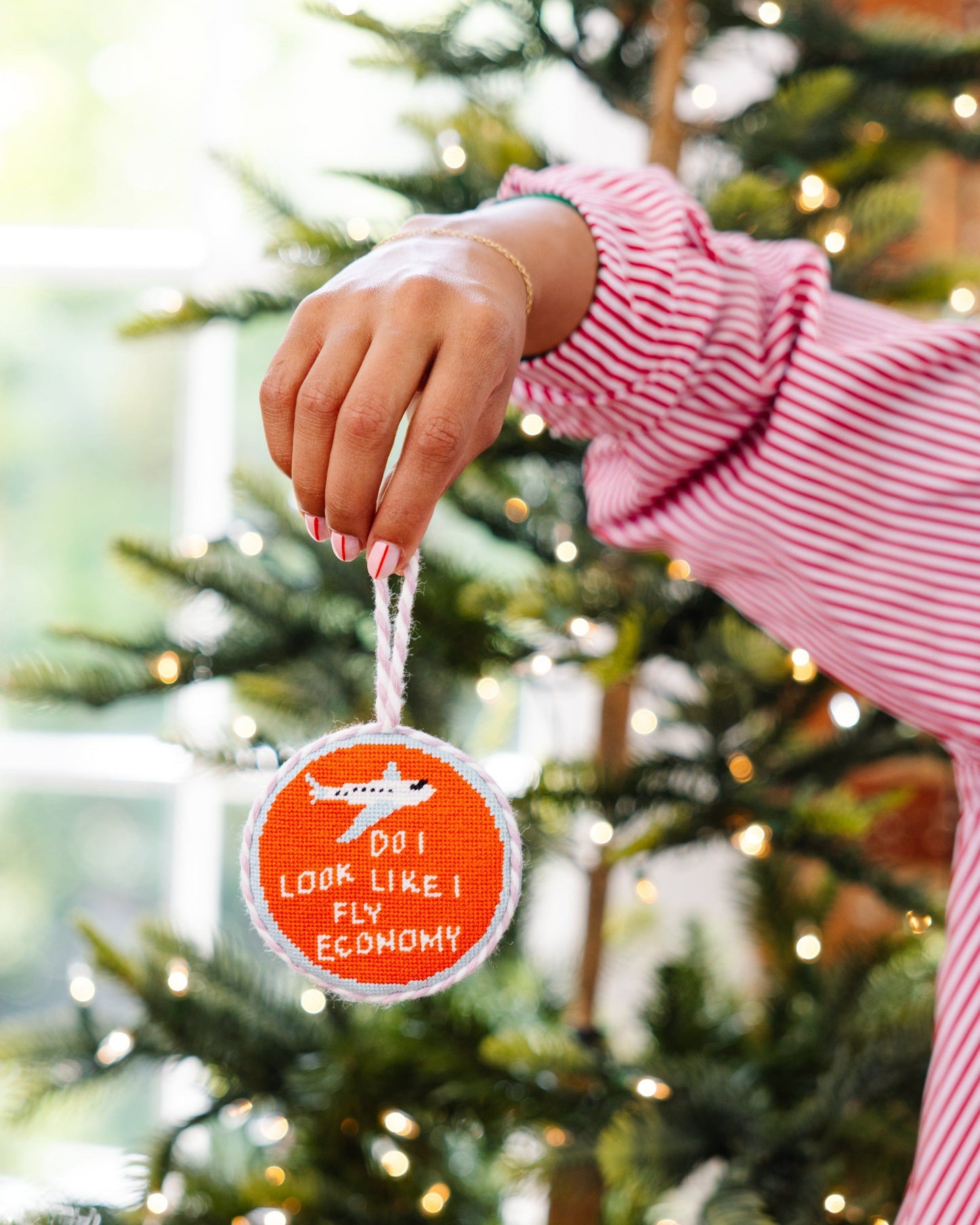 Needlepoint Ornament - Fly Economy