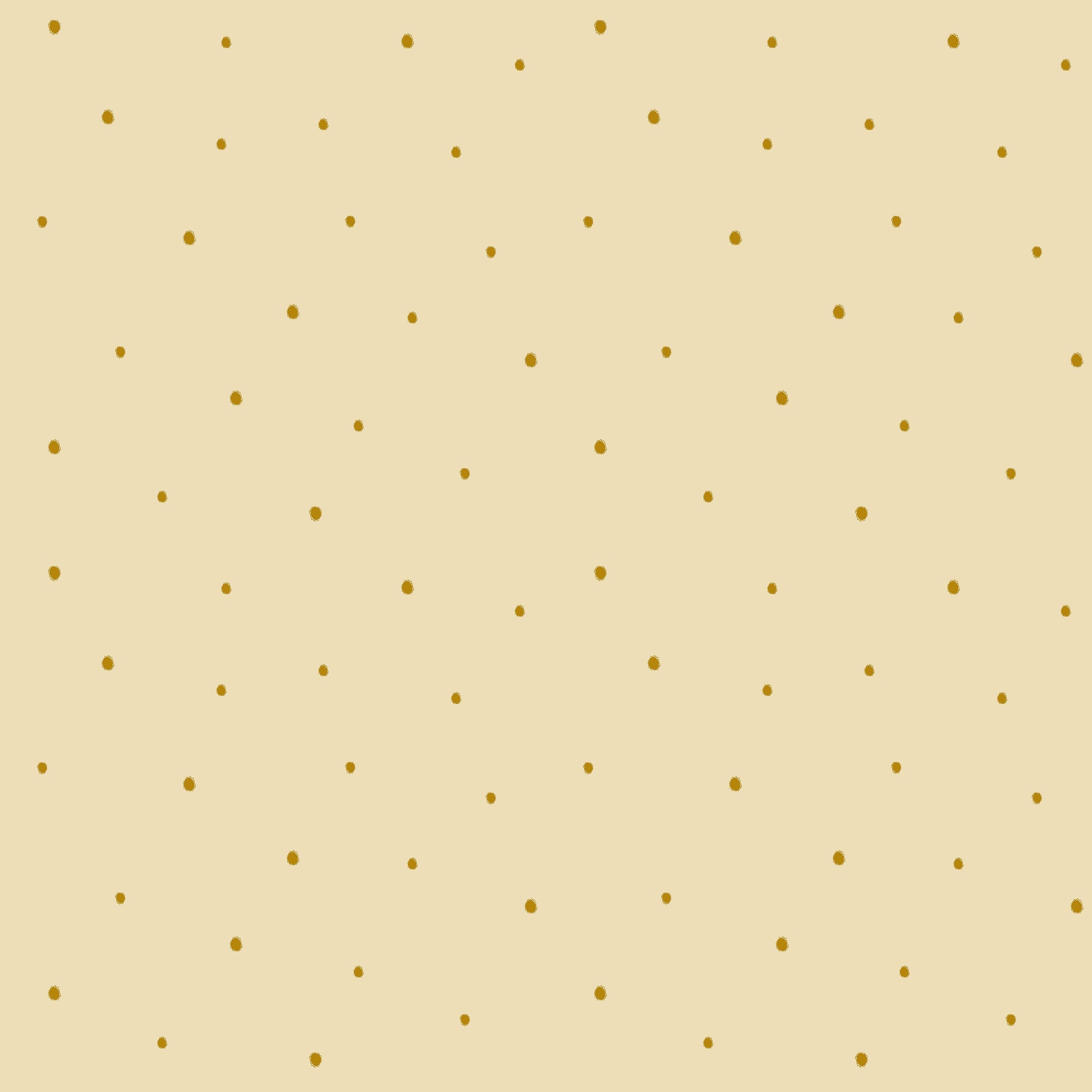 Dolce Daisies Wallpaper, Limoncello, Sample
