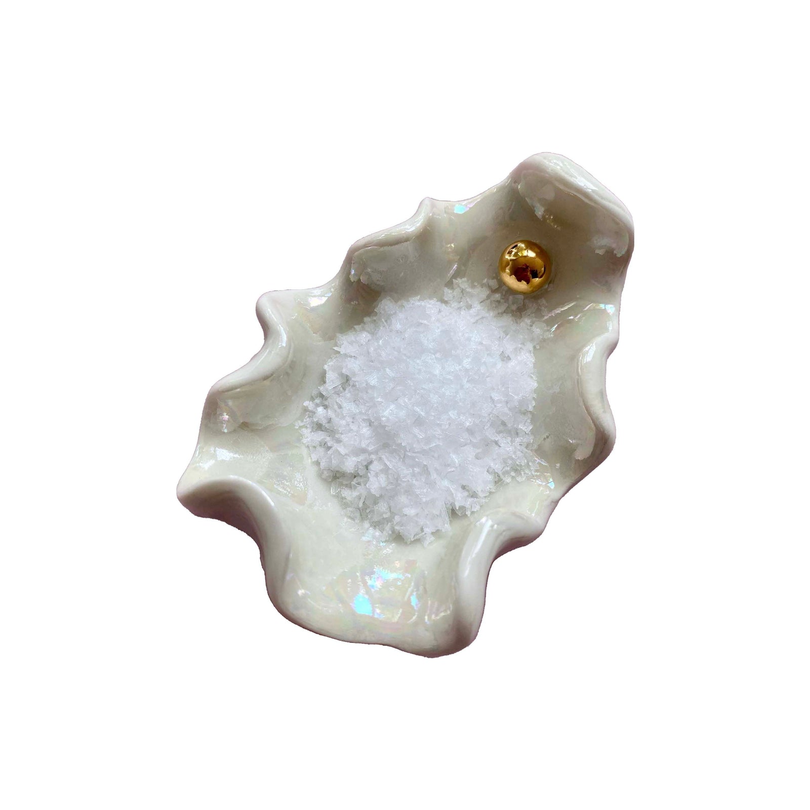 Porcelain Ceramic Oyster Shell Pinch Pot