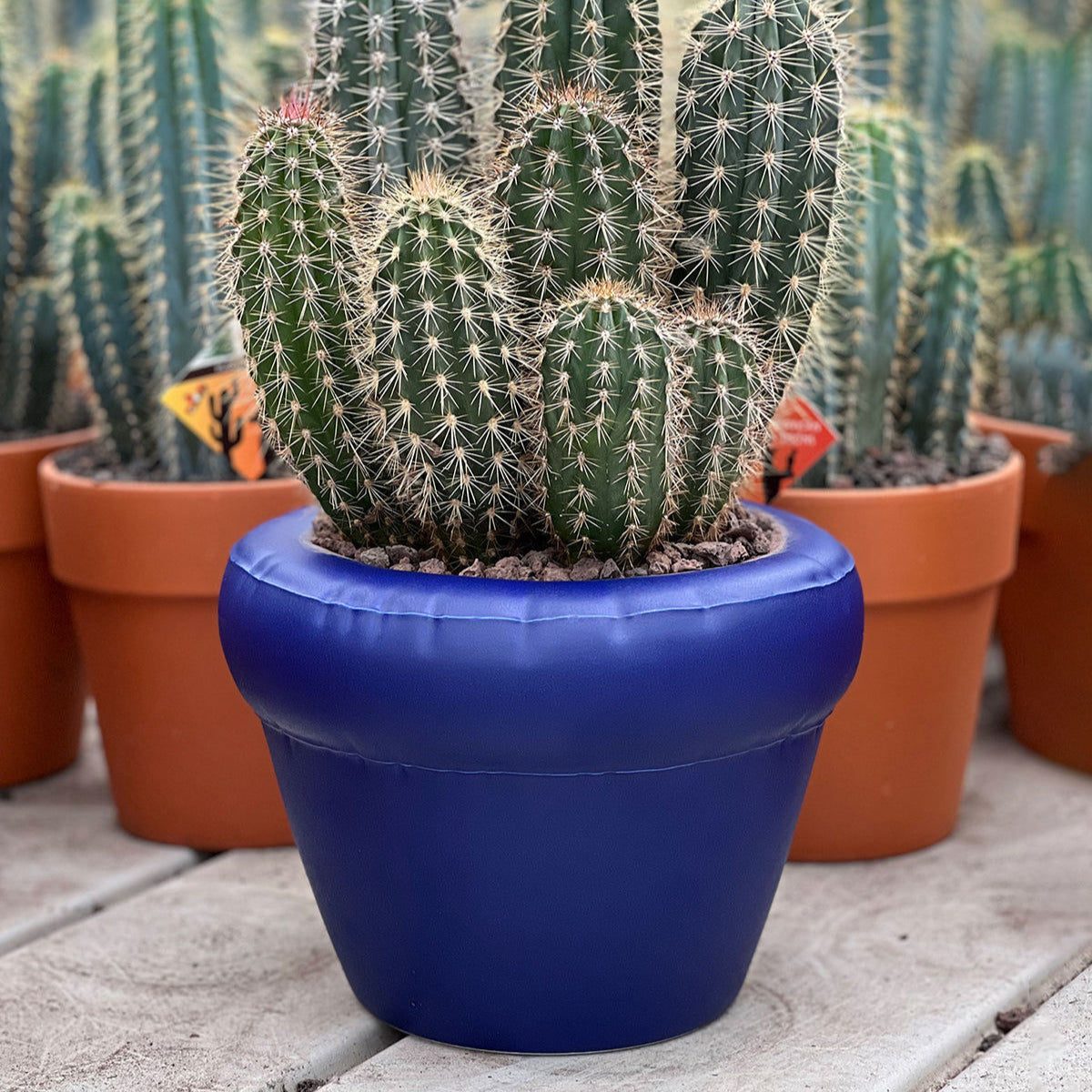 Planter 'PIERRE' Indigo