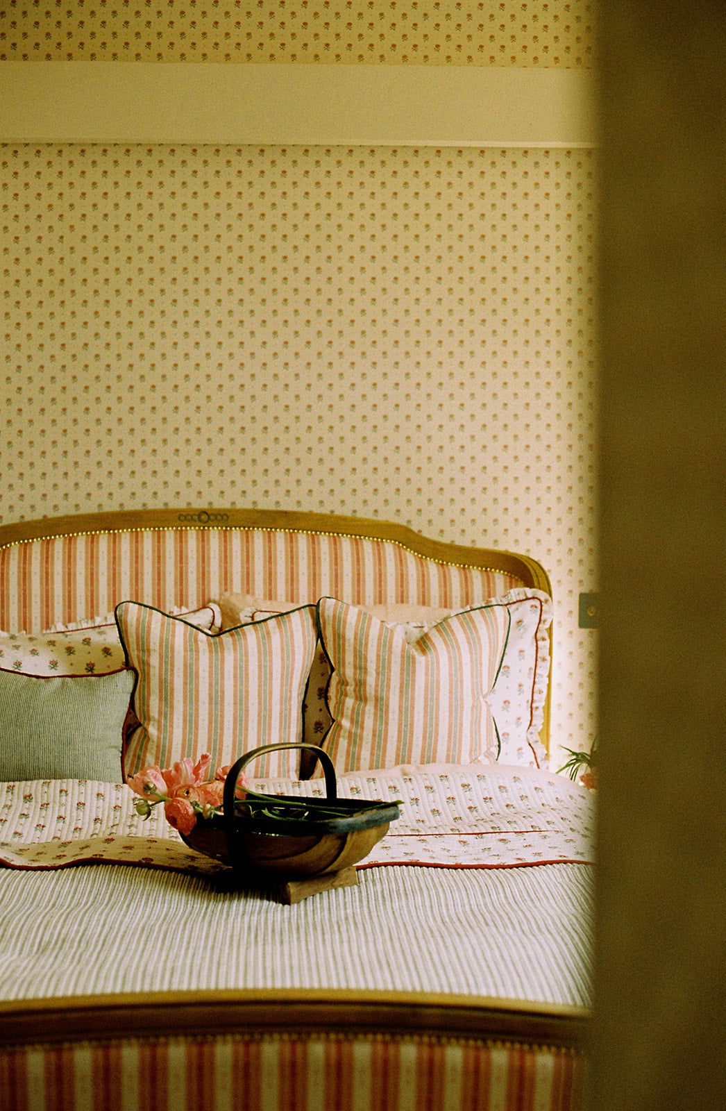 Salzburg Stripe - Red & Pink
