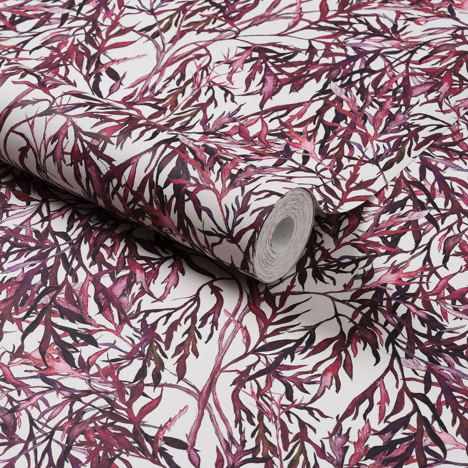 Elderflower Wallpaper