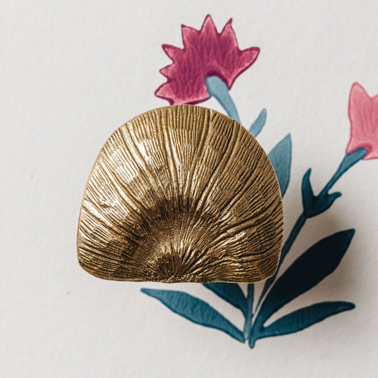 Cove Shell Knob, Lacquered Brass