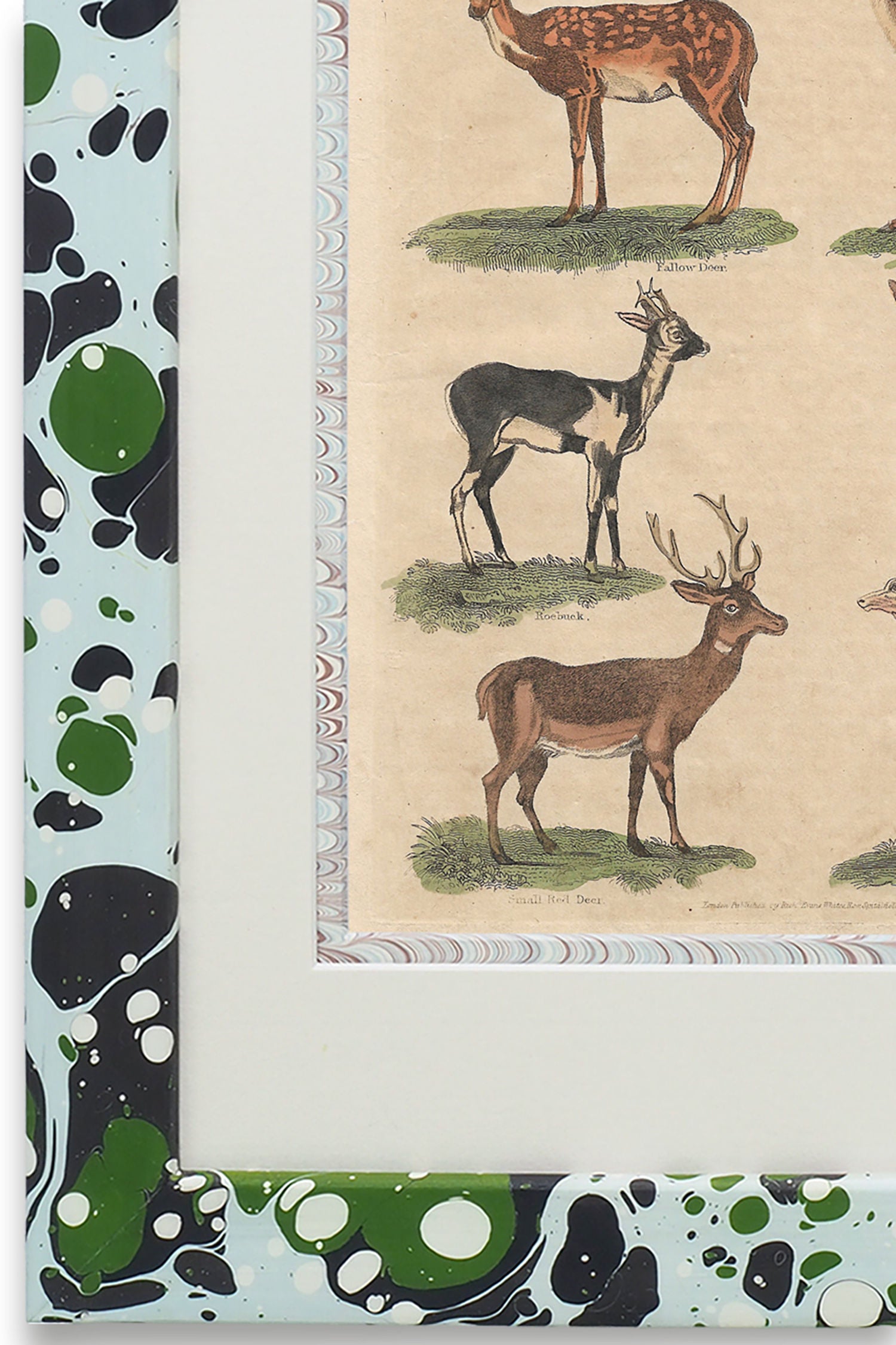 Buffon No.7 Glacier Framed Print