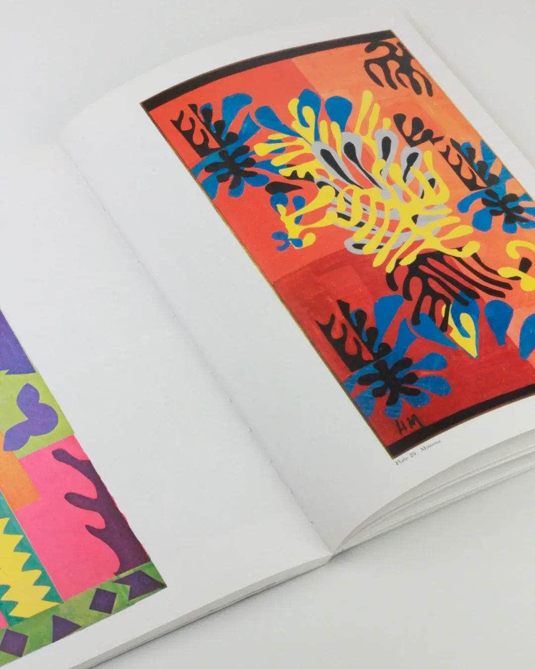 The Cut Outs Of: Henri Matisse Vintage Book