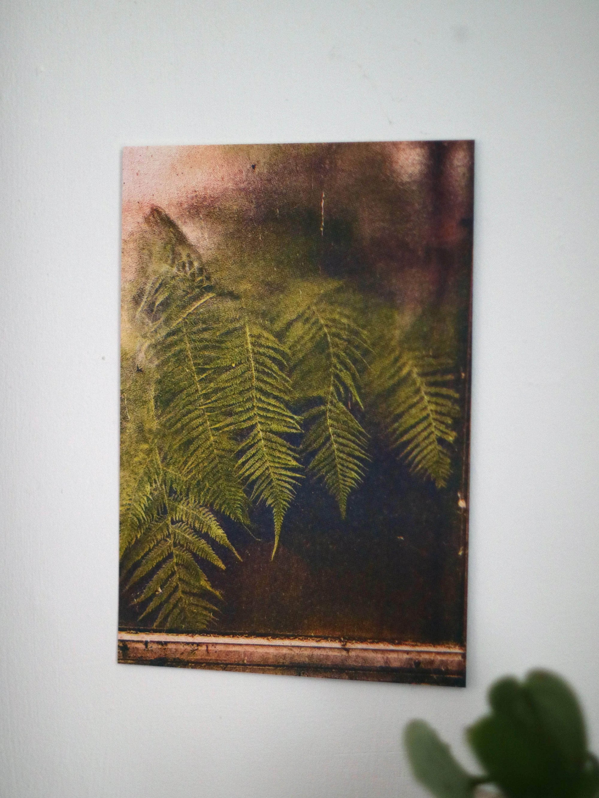 Ferns Against Botanical Window Print