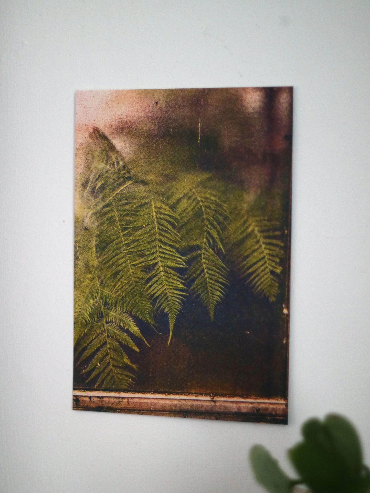 Ferns Against Botanical Window Print