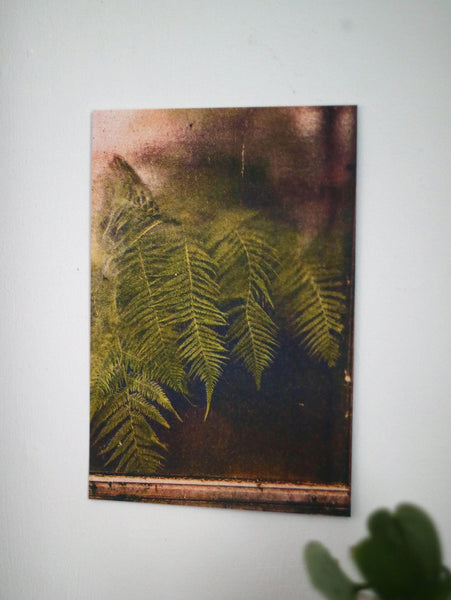 Ferns Against Botanical Window Print