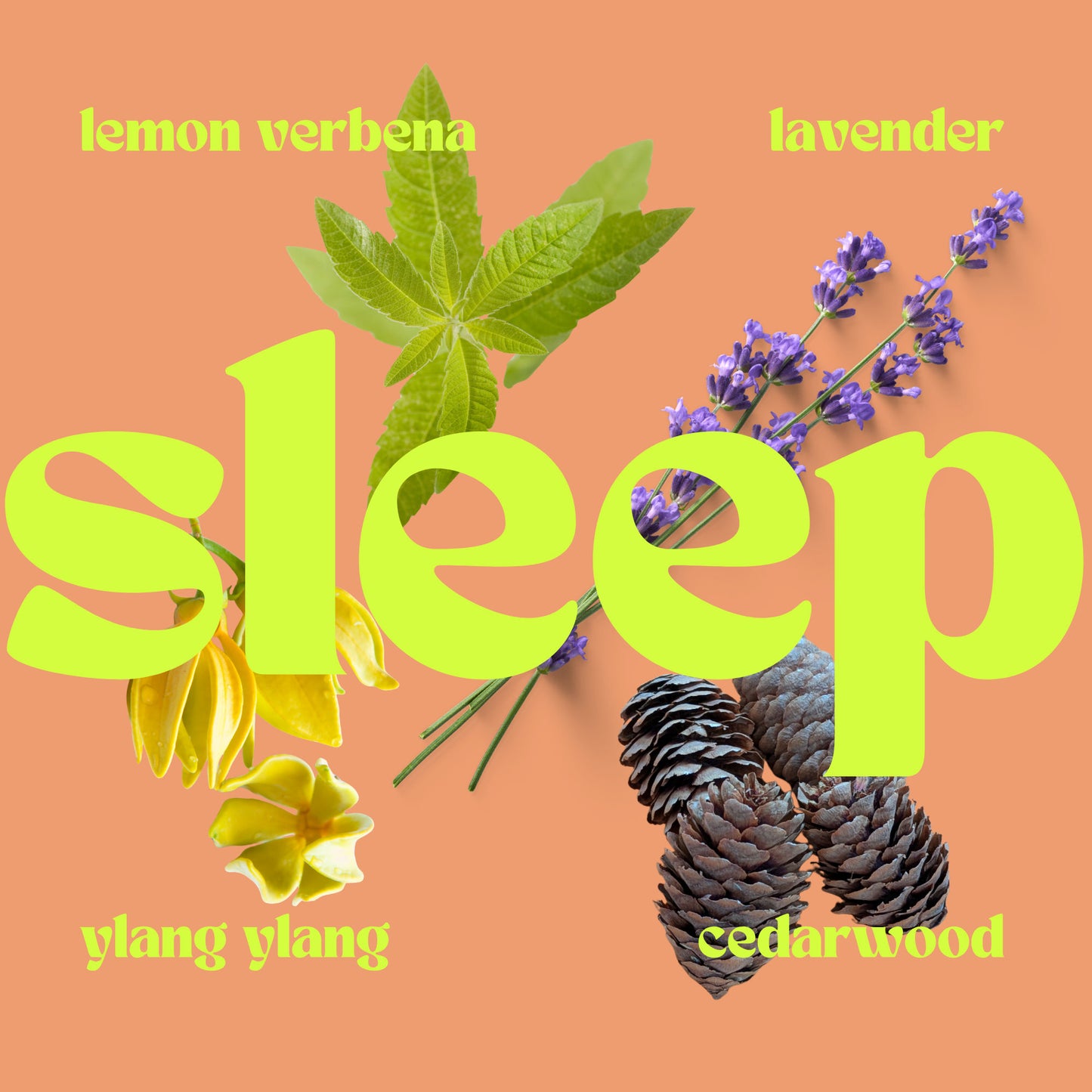 Market - Mini candle + refill bundle