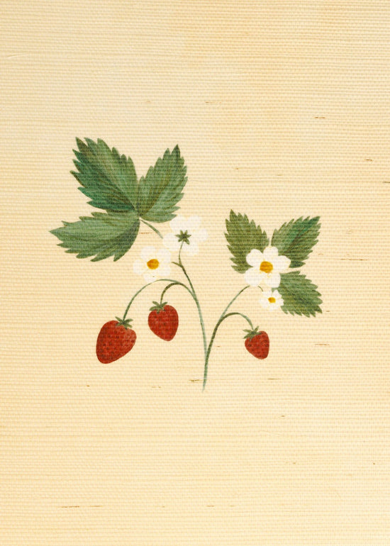 Herbarium Wildflower Grasscloth Wallpaper - Blush
