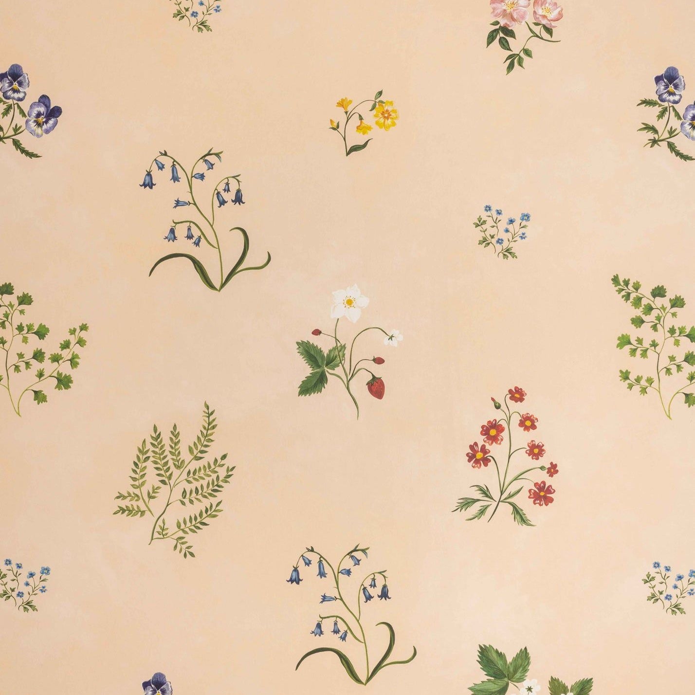 Herbarium Wildflower Wallpaper - Blush