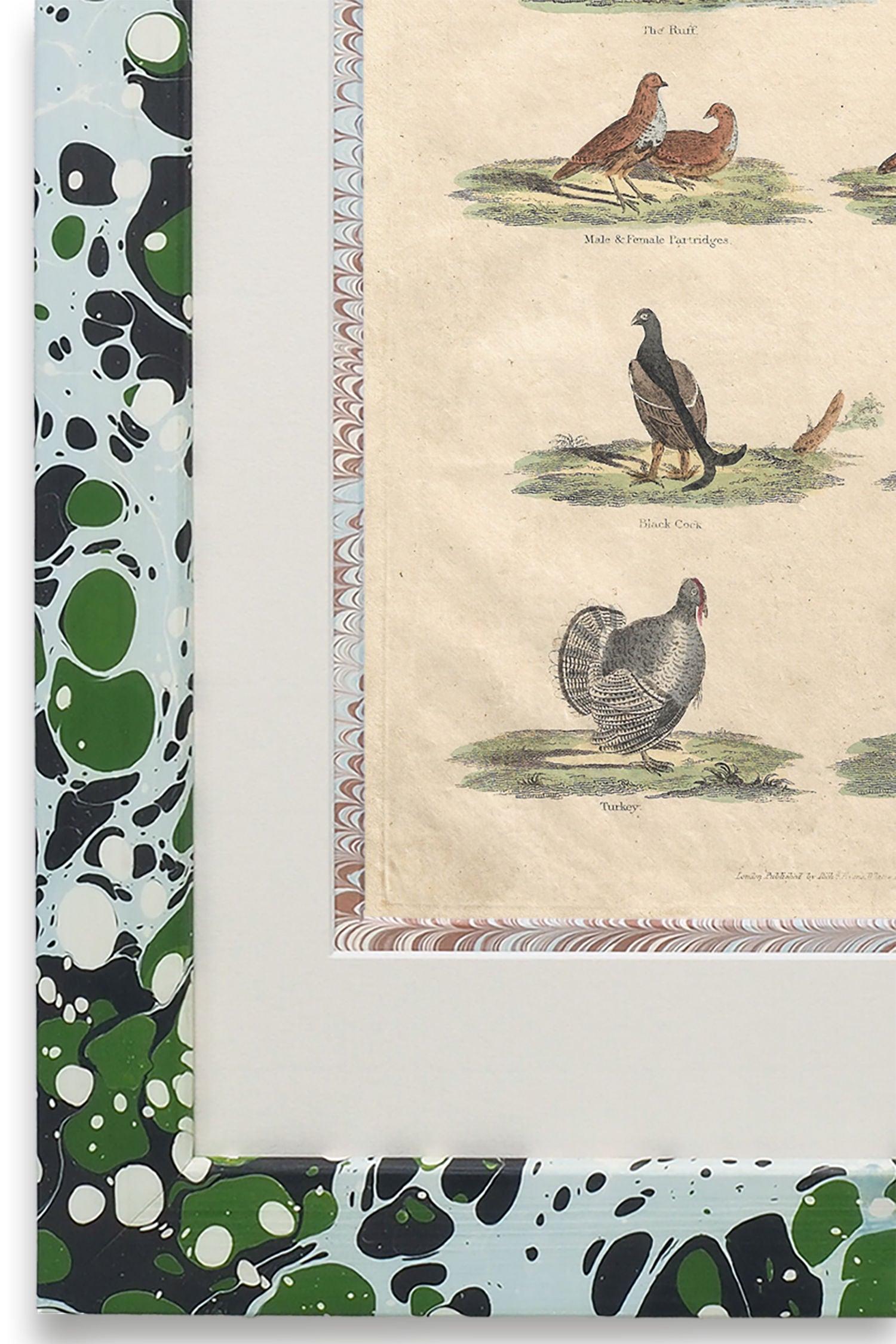 Buffon No.52 Glacier Framed Print