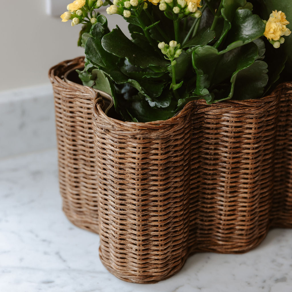 Poppy Planter & Basket, Long