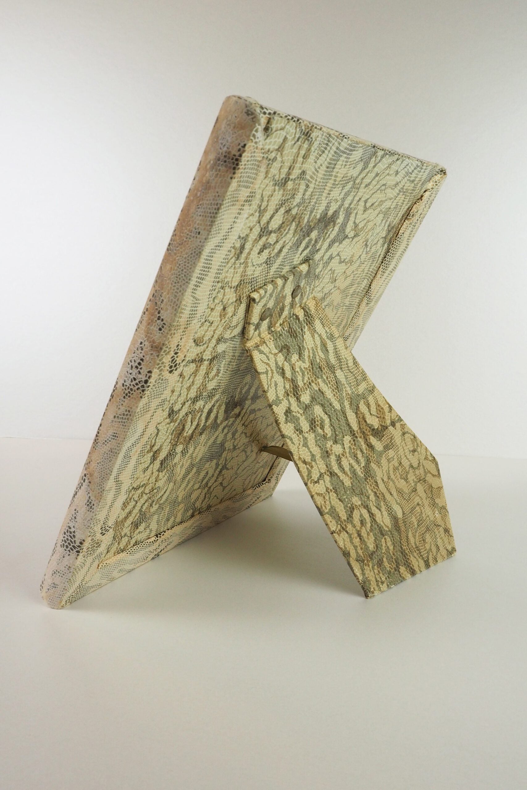 Antique Snake Print Frame