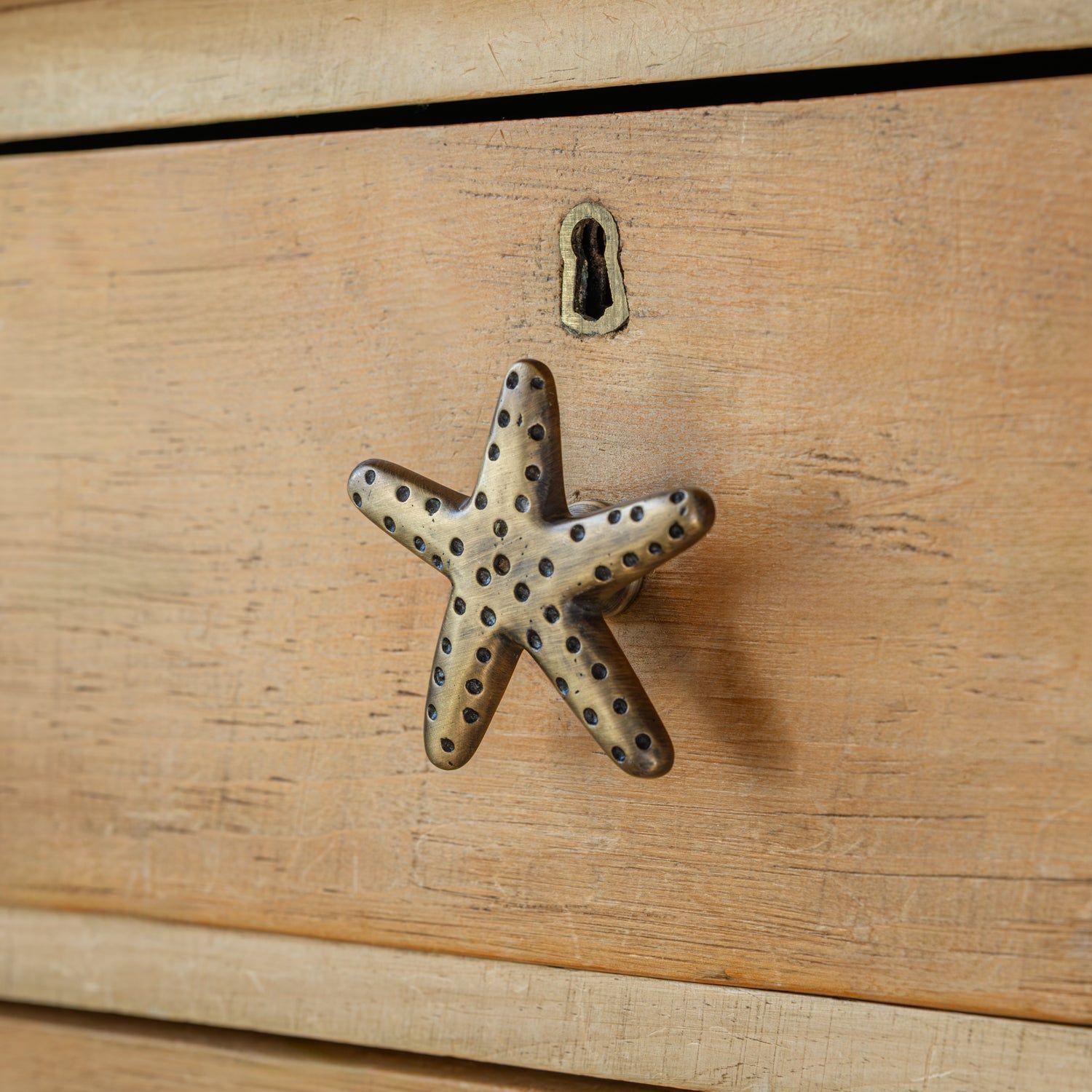 Starfish Knob, Antique Brass