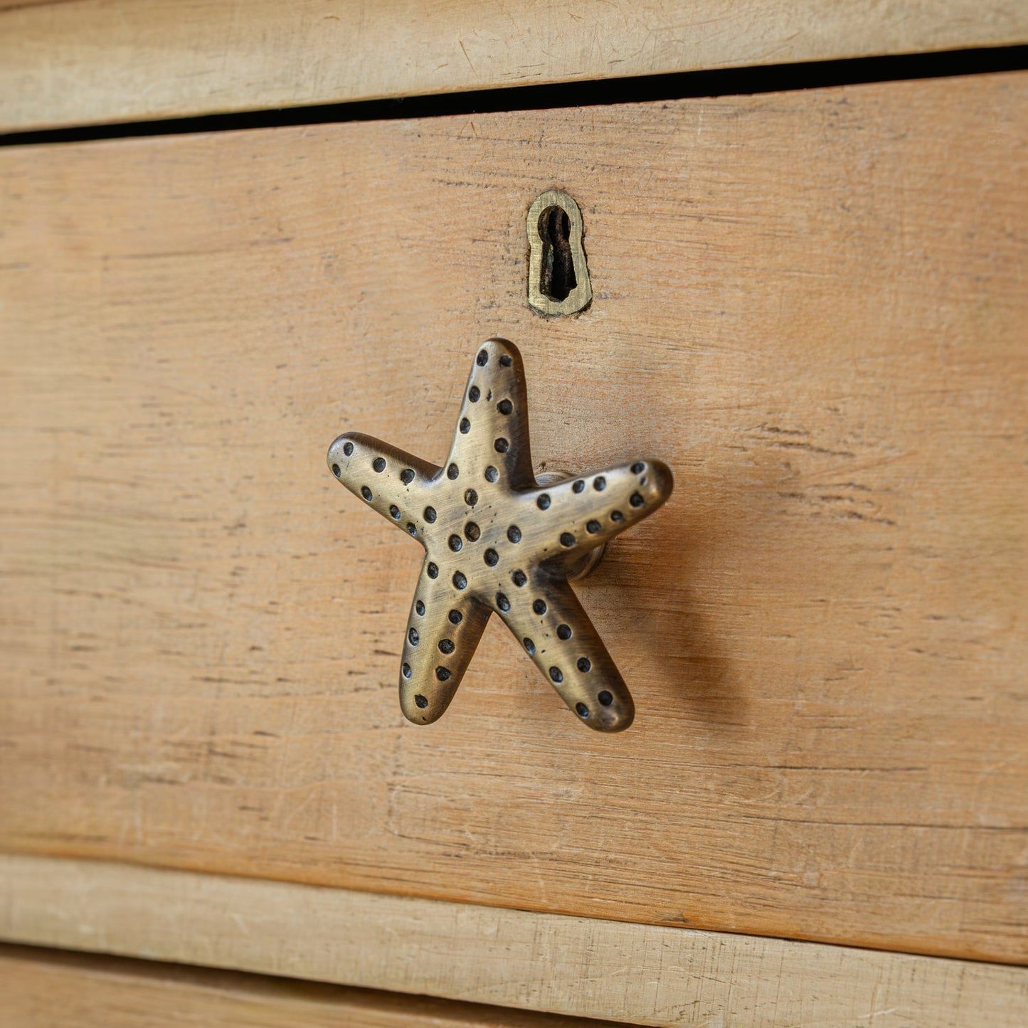 Starfish Knob, Antique Brass