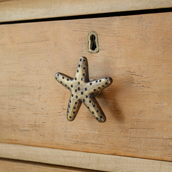 Starfish Knob, Antique Brass