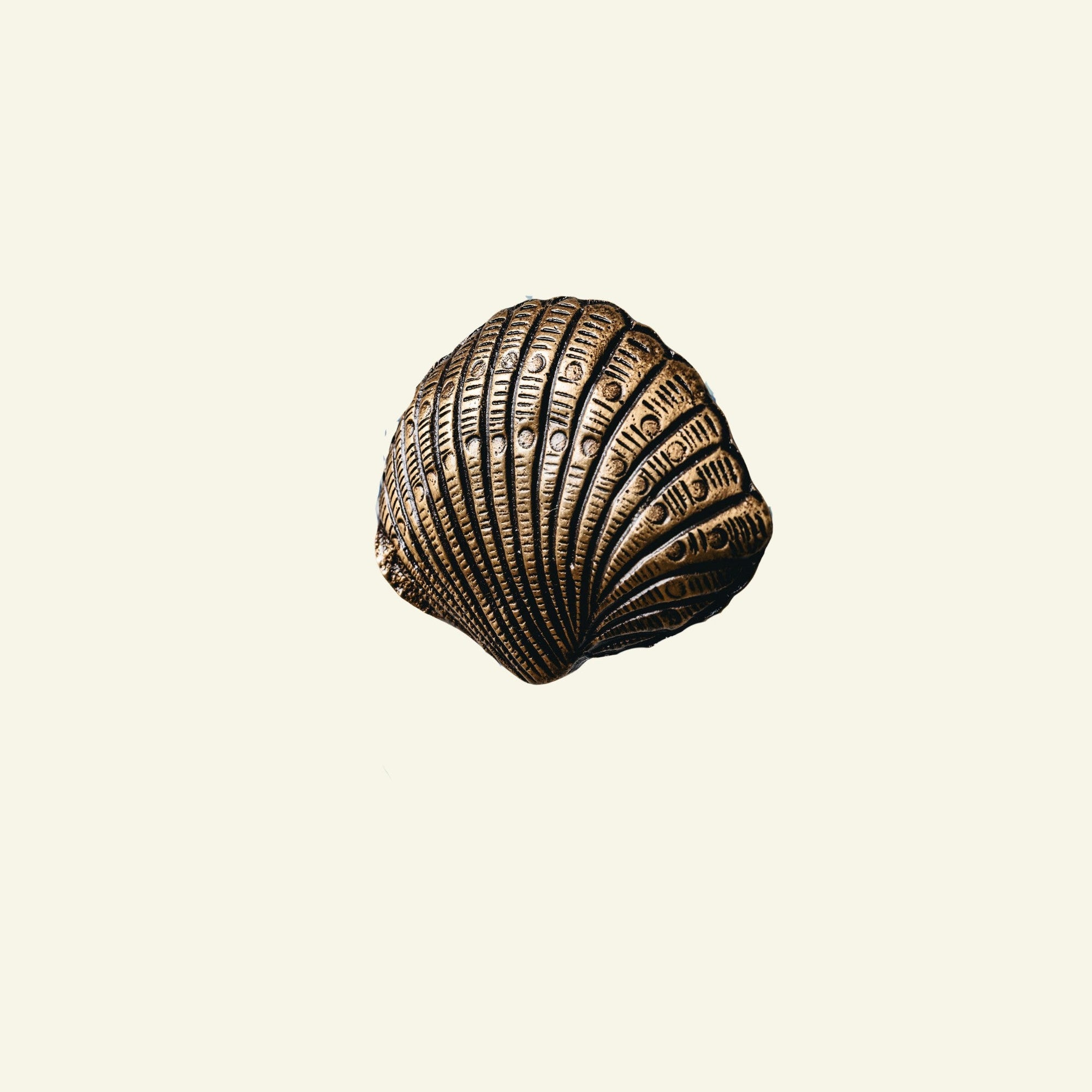 Cockle Shell Knob, Antique Brass