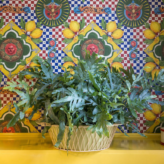 Wire Basket Planter | Sage Green & Blush