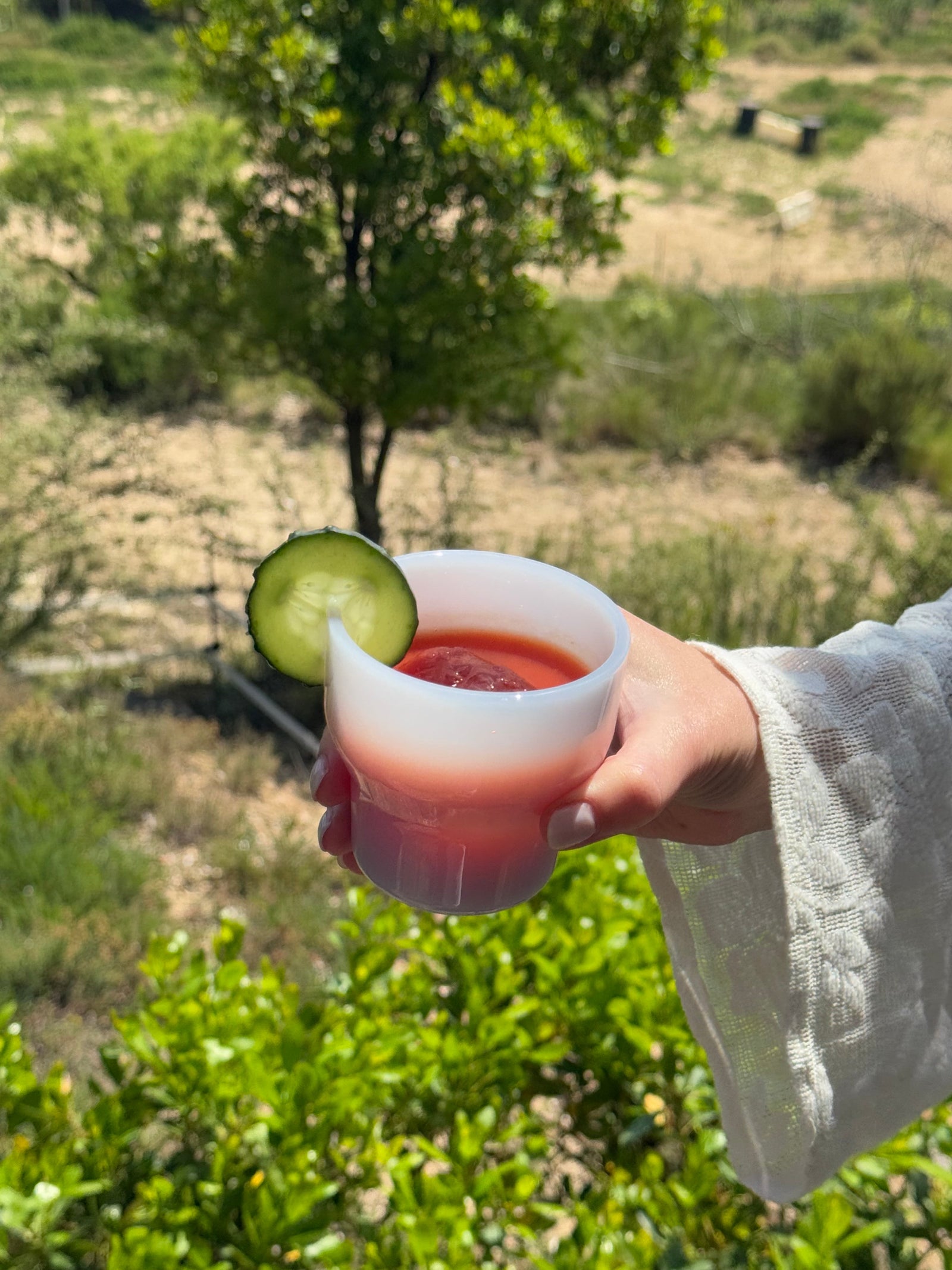 Brisita Glass Cup - Light Pink