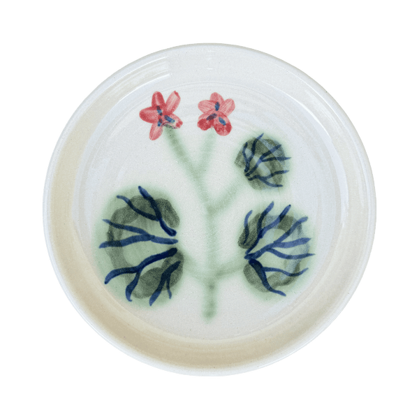 Pelargonium Dish