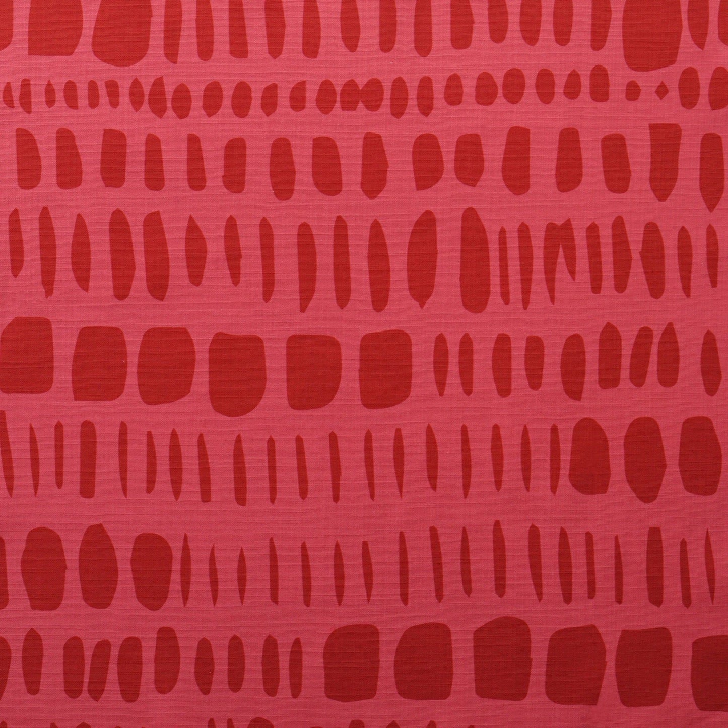 Sari Fabric