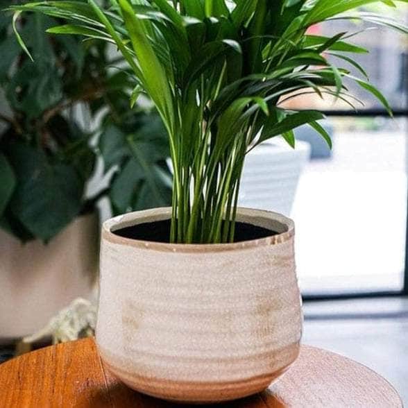 Hand Finished Plant Pot