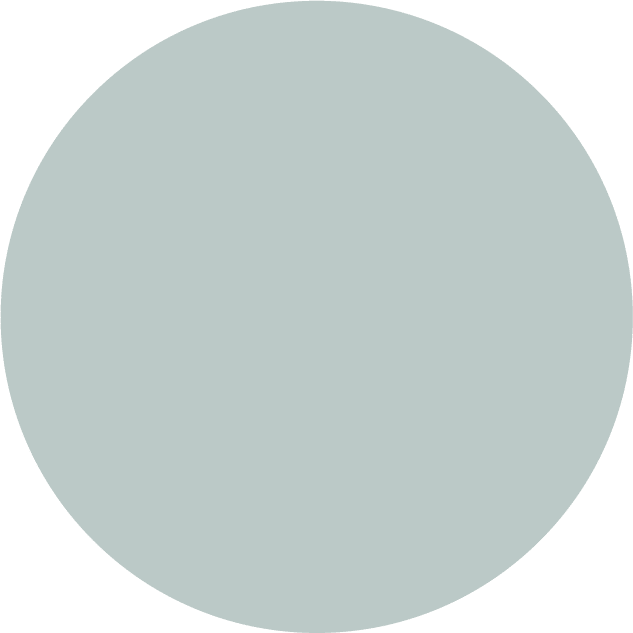 Soft Plate – Bubble