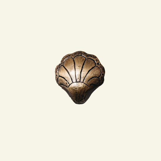 Chunky Shell Knob, Antique Brass