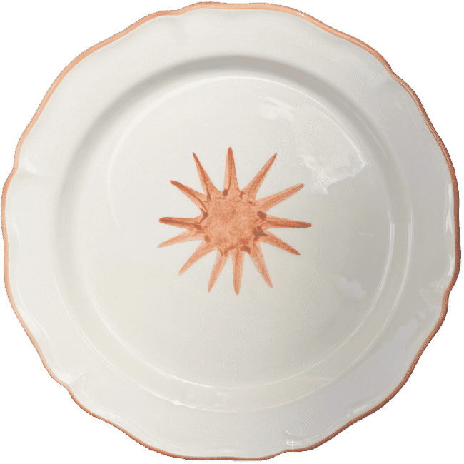 Sole Plate 20cm Pink