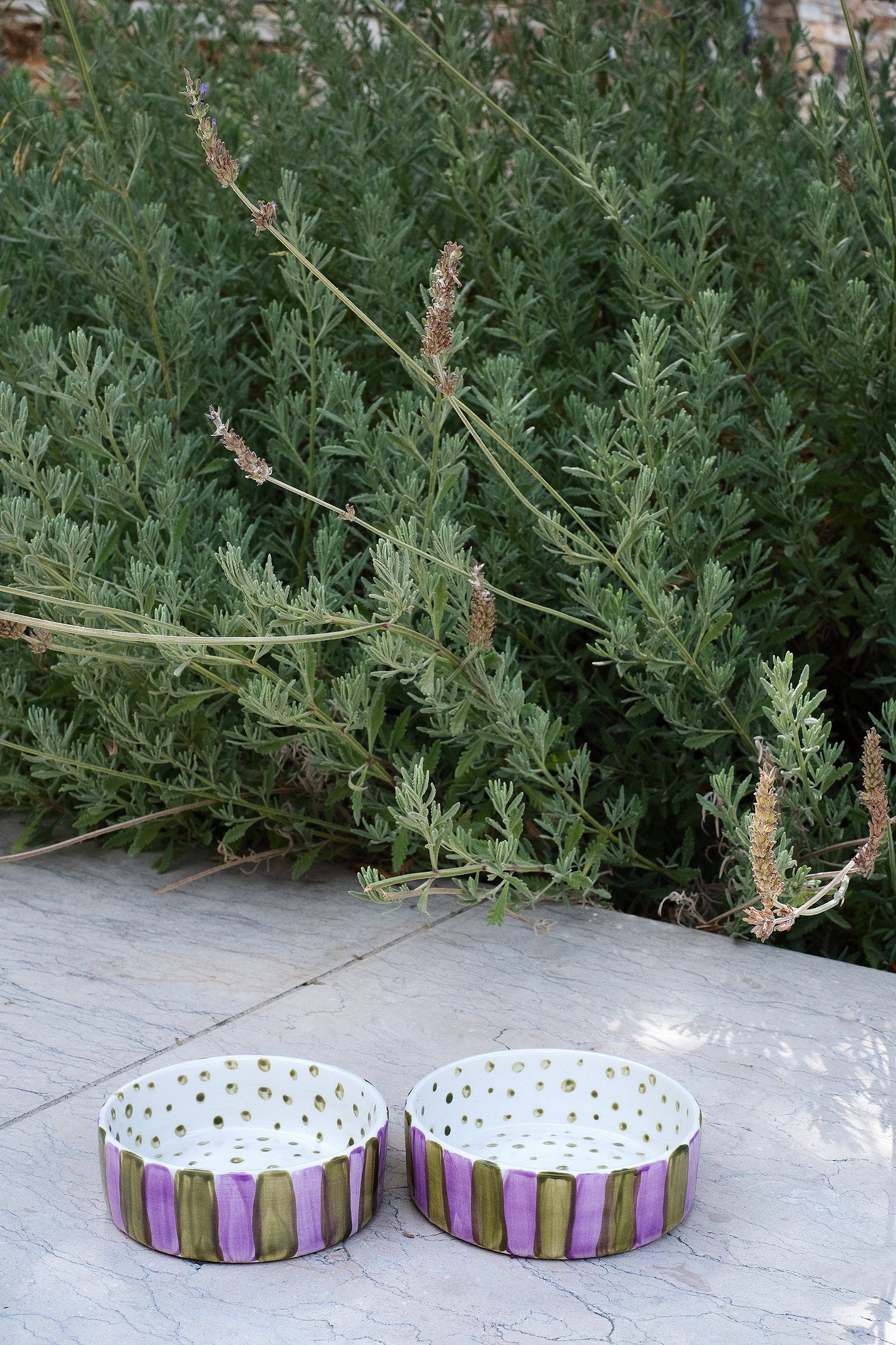 Olive On Purple Stripes Pet Bowl