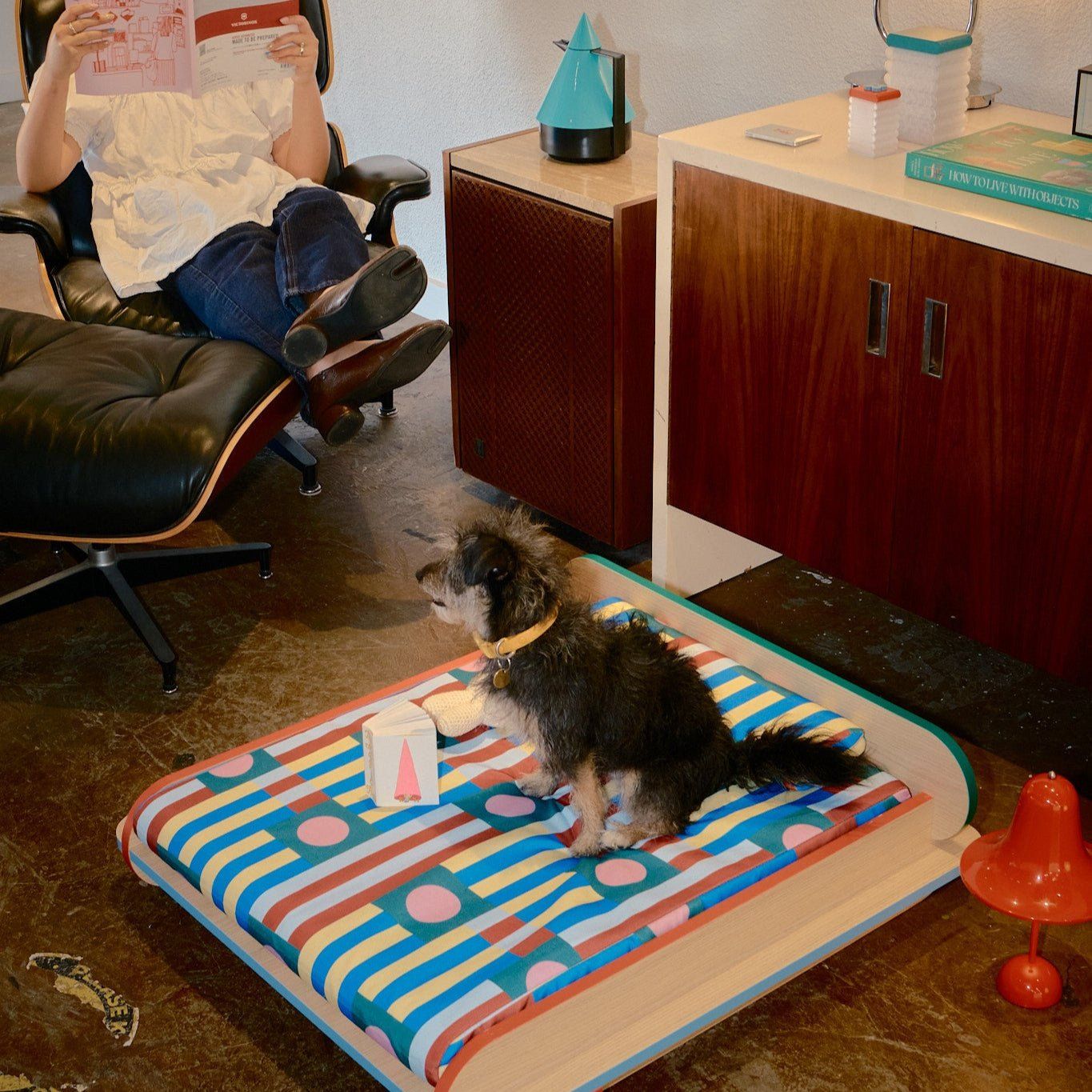 The Leo Bed – Modern Elevated Dog & Cat Bed