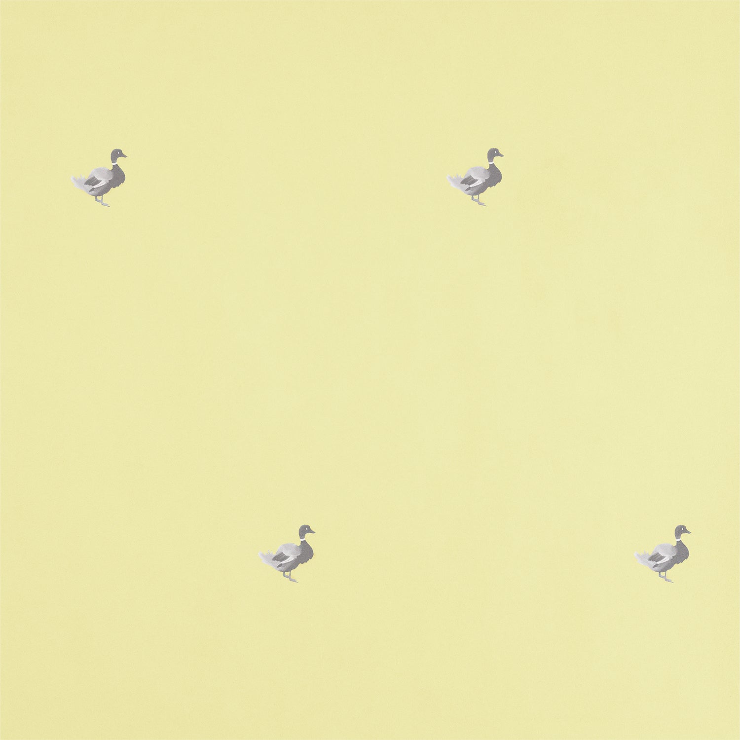 Ducks In A Row Wallpaper – BLYTHE