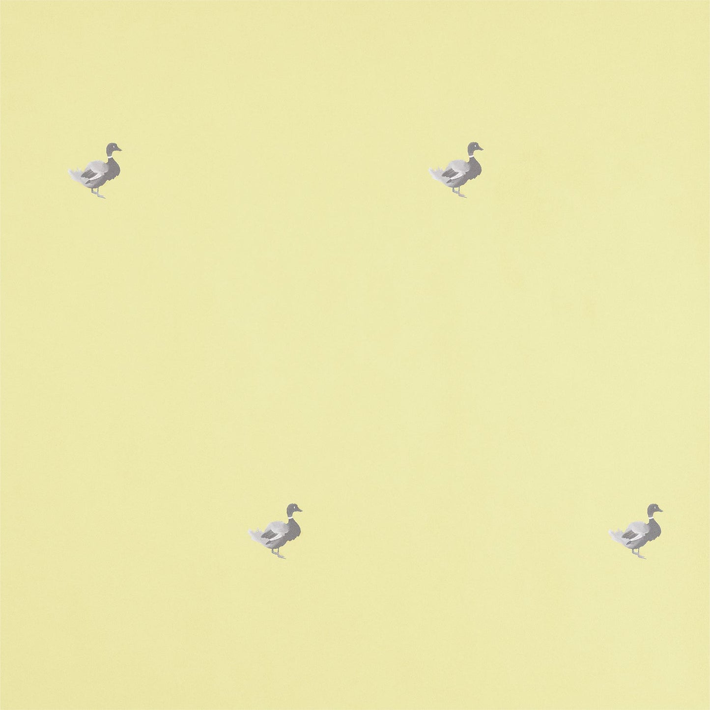 Ducks In A Row Wallpaper – BLYTHE
