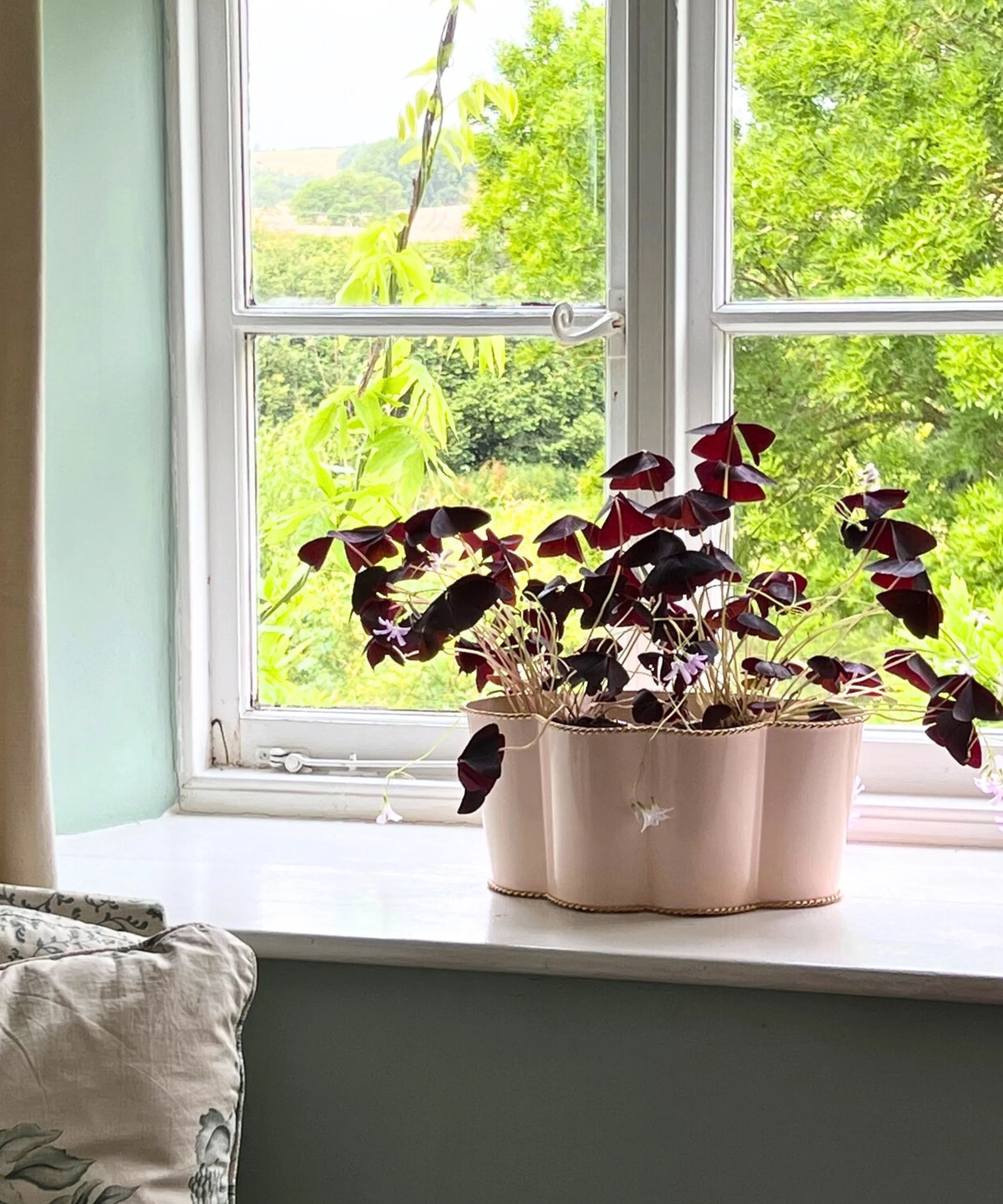 Rounded Scalloped Planter | Large | Rose Pink