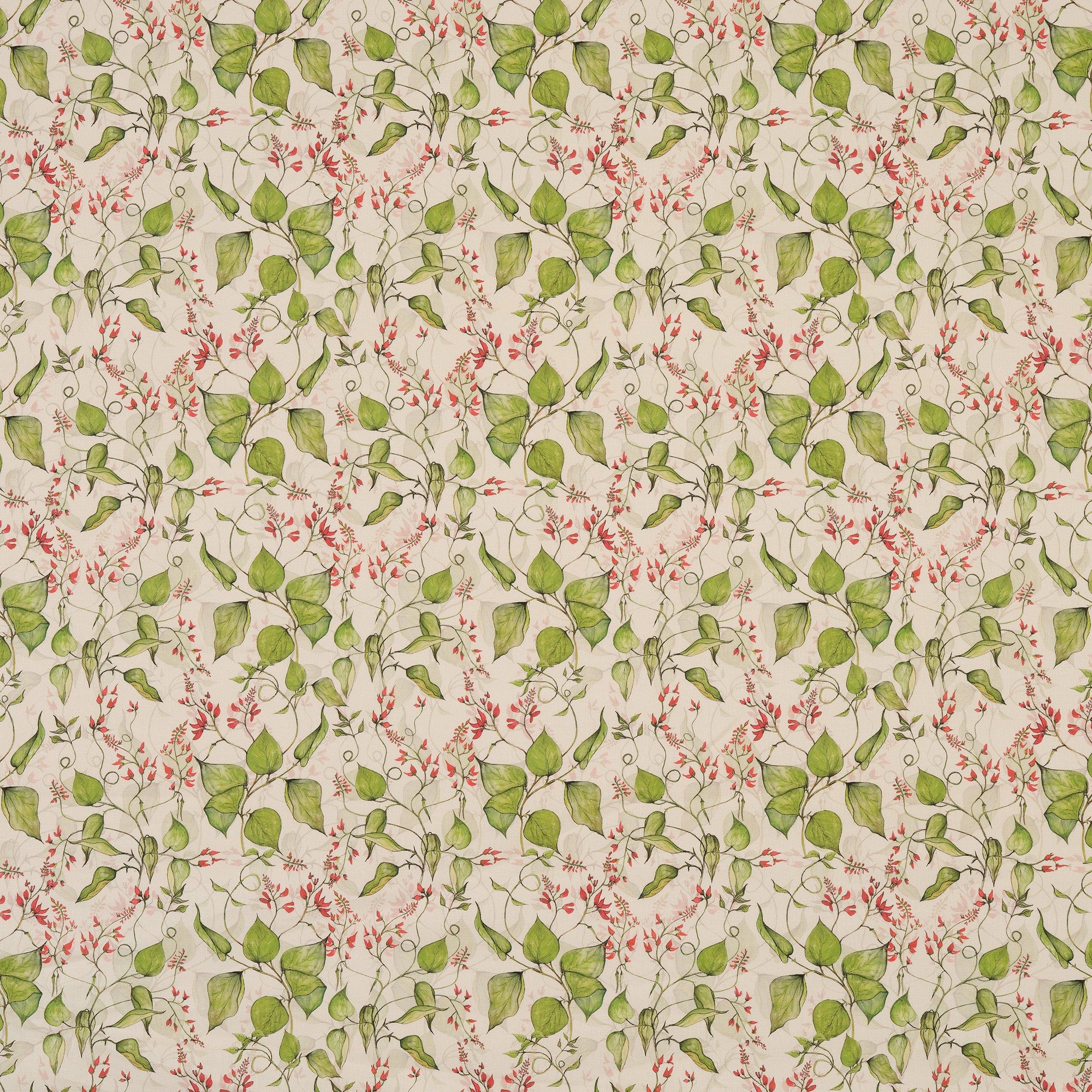 Runner Bean Flower Fabric