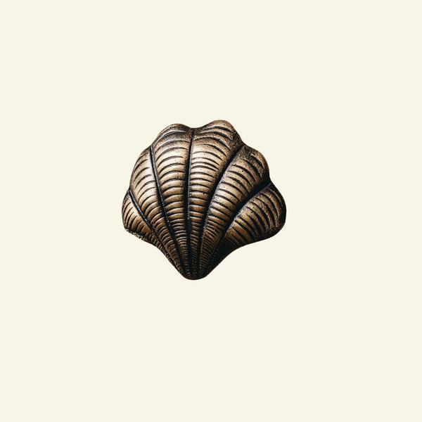 Curved Shell Knob, Anqtiue Brass