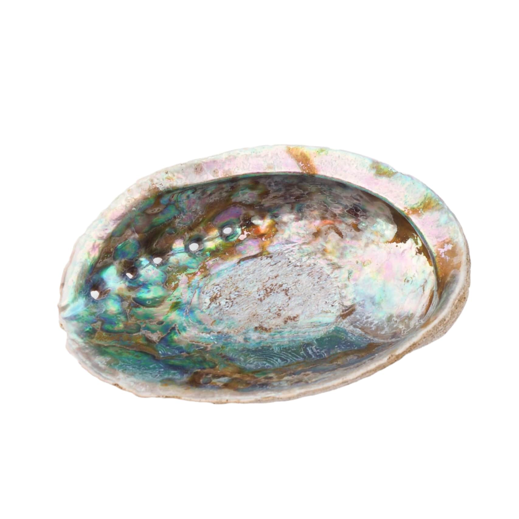 Large Vintage Shell