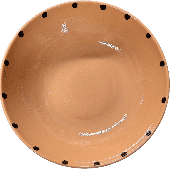 Ladybug Terracotta Large Salad Bowl