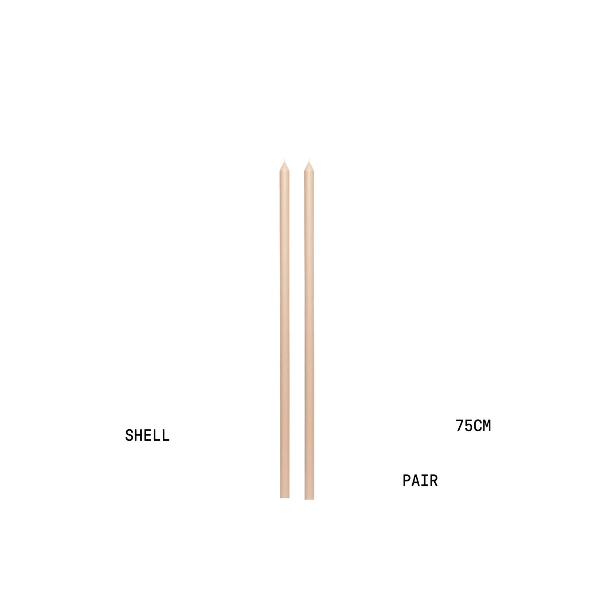 Shell Tapered METRE Candle Pair