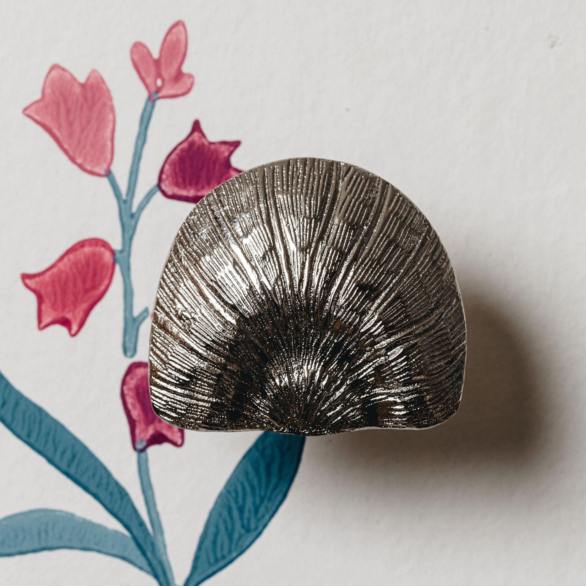 Cove Shell Knob, Antique Brass