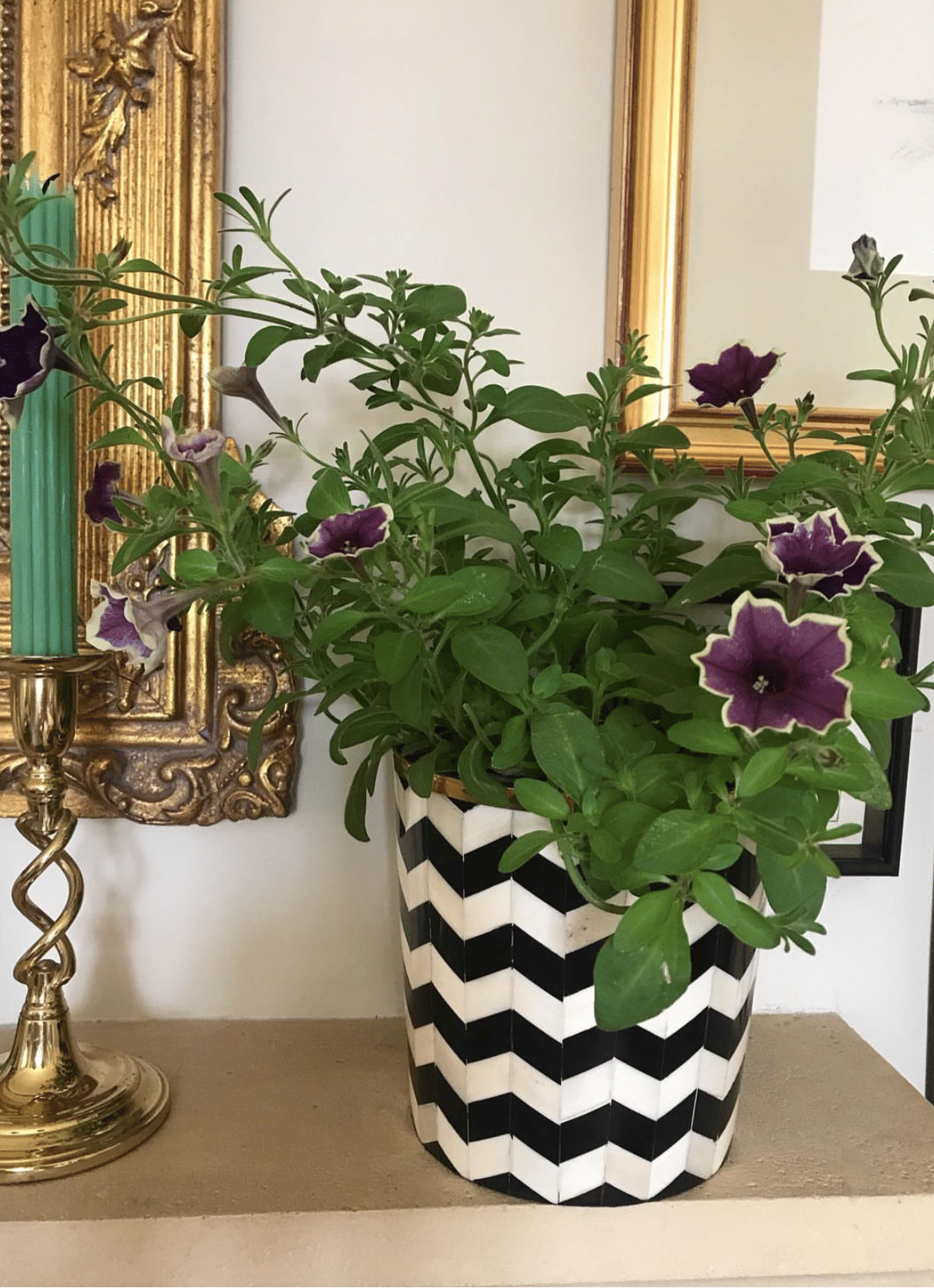 Round Inlay Planter | Medium | Black | Chevron