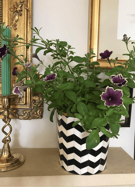 Round Inlay Planter | Medium | Black | Chevron