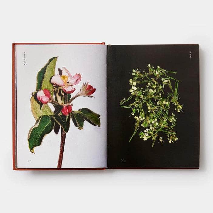 Edible Flowers: How, Why, and When We Eat Flowers Book
