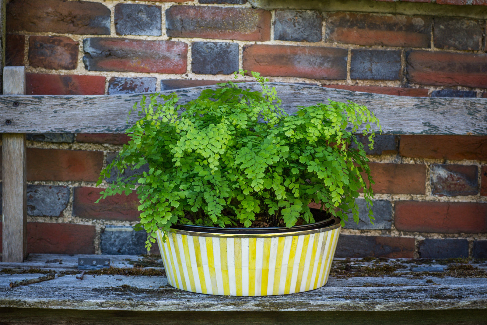 Round Inlay Planter | Large | Yellow | Striped