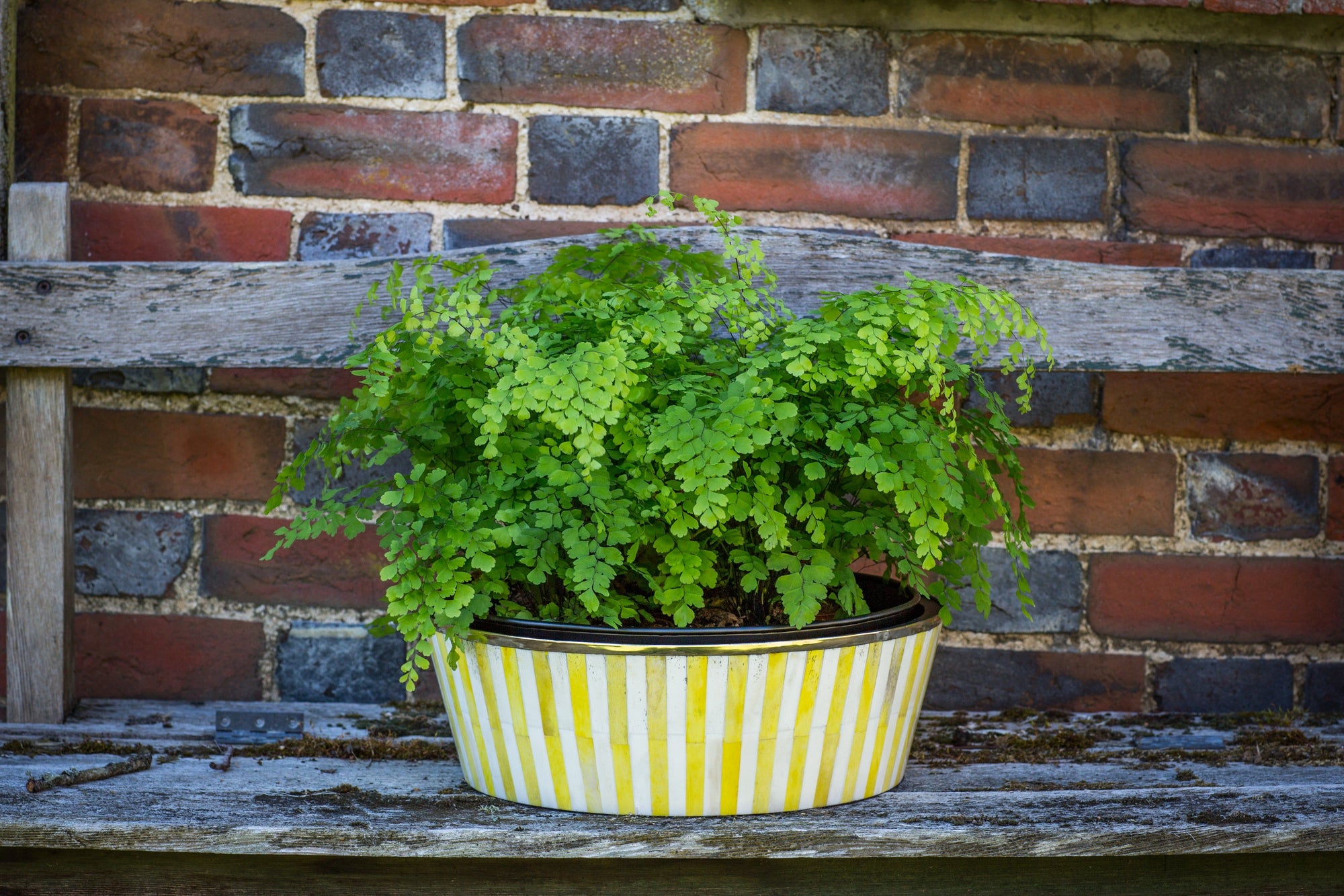Round Inlay Planter | Large | Yellow | Striped