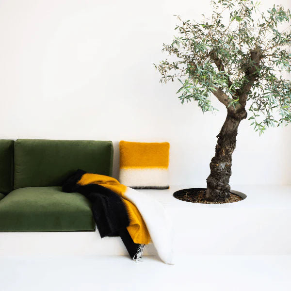 Viso Mohair Pillow White, Yellow and Black Colour Block